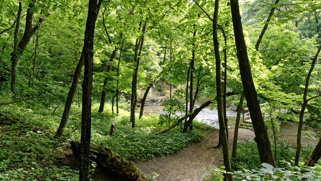 20190801-093312••North Mankato•Minnesota•USA